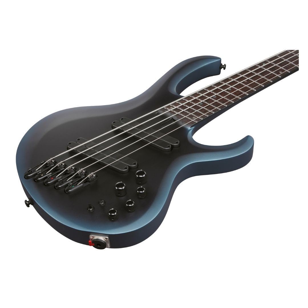 Amazon.com: Ibanez BTB605MS Bass Workshop 5-String Right-Handed