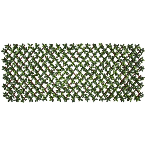 Branch leaves tFCNO[ tFX 90cm×180cm (CCGD010-R25)