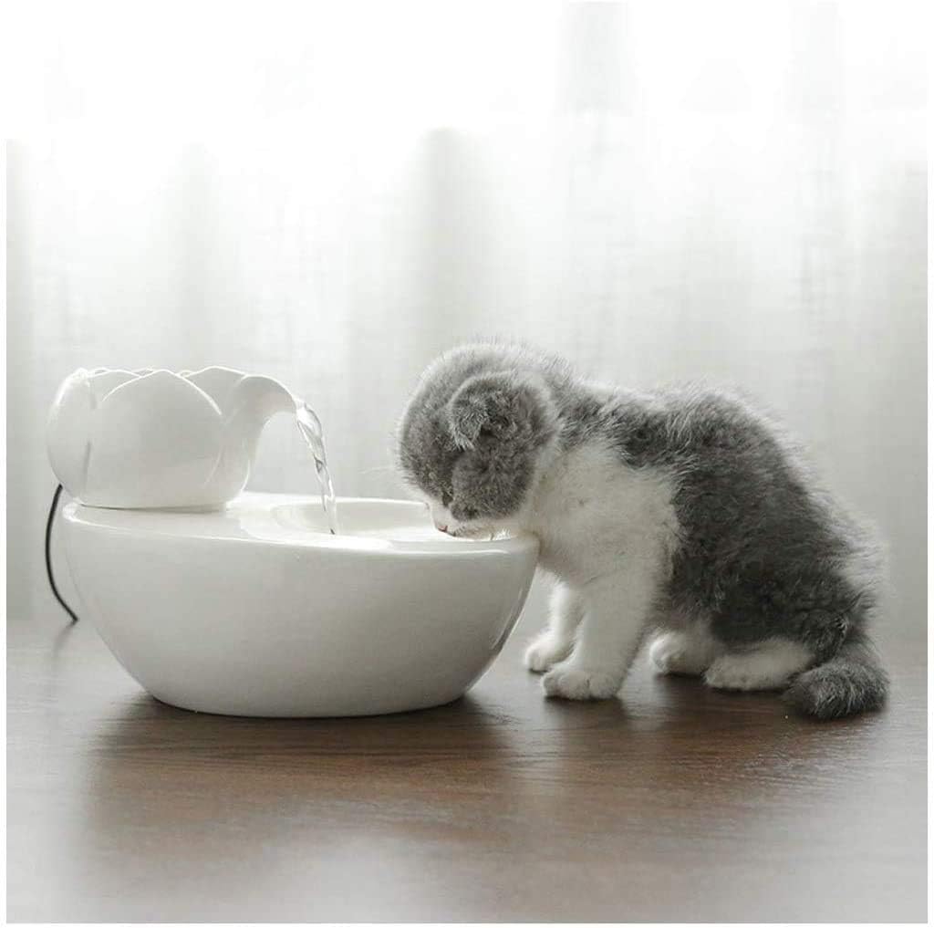 KUANDARM fountains and water features,adjustable Activated Carbon Filter Suitable Pet Dogs Cats Birds And Small Animals,drinking fountains for dogs, White