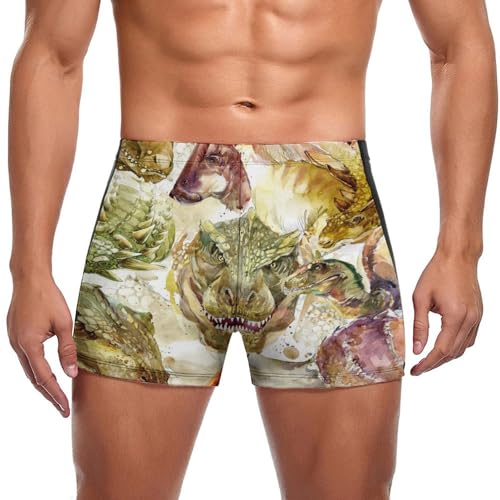 Short de bain dinosaure rétro homme, idéal pour la plage et la piscine