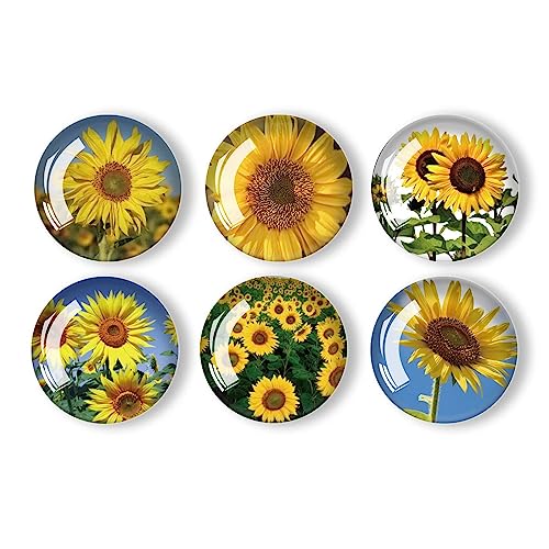12 imanes decorativos de vidrio para refrigerador miniatura 4
