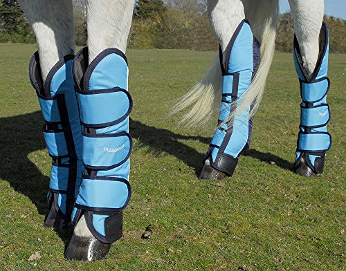 Rhinegold Elite Full Length Travel Boots-Pony-Turquoise/Navy Botas de Viaje, Turquesa/Azul Marino