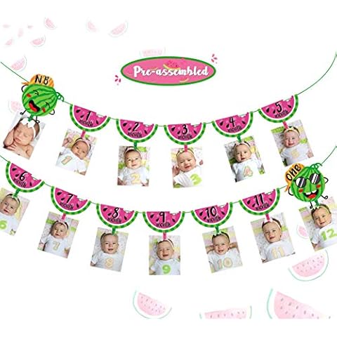 One in a Melon Photo Banner Watermelon 12 Month Photo Prop for First Birthday Party Bunting Decor Summer Fruit Party for Baby Girl Cover