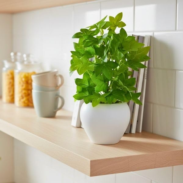 Image of fancymart Artificial Plant Leaves in Apple Pot (30 cm Height) | Small Potted Plant for Office Desk | Home Decor for Living Room | Cafe & Restaurant Table Decoration