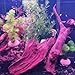 emours Aquarium Driftwood Fish Tank Decoration (XLarge(11 to 14 inches in Length))