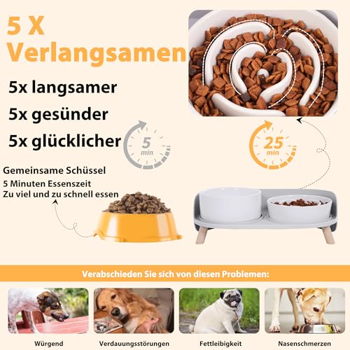 Antischlingnapf Hund Keramik Napfset erhöht - Hundenapf für langsames Fressen - Doppel-Fressnapf für kleine und mittelgroße Hunde - Futternapf & Wassernapf mit rutschfestem Ständer