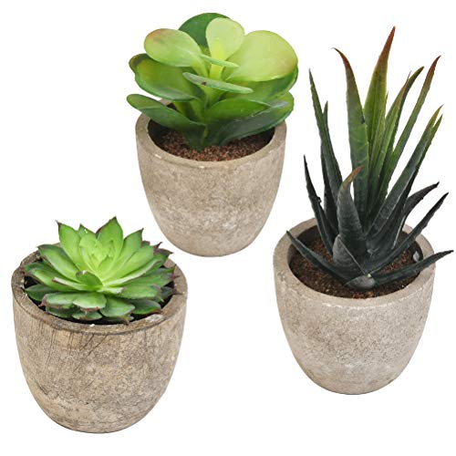 CENBEN 3 Piezas de Plantas suculentas Artificiales con macetas Decoración de Mesa Hogar Balcón Decoración de Oficina