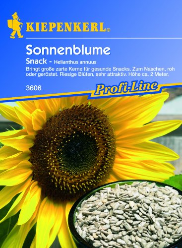 Sonnenblume 'Snack', 1 Tüte Samen