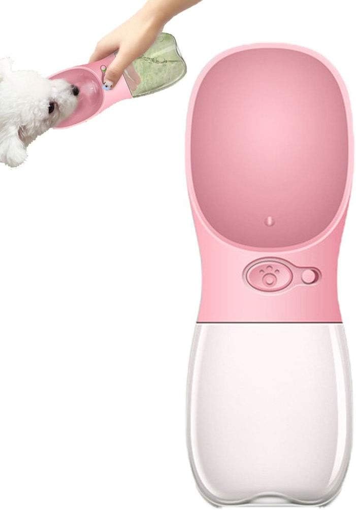 cassa per cani isolata