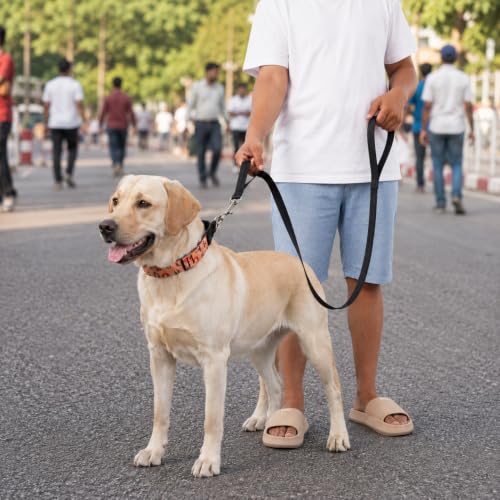 Image of Wooflix Heavy Duty Double Handle Dog Leash for Small, Medium and Large Dogs | Anti-Slip Dual Handle with Heavy Duty Metal Hook Dog Lead Leash for Walking, Running & Training (Black, 5 Feet)