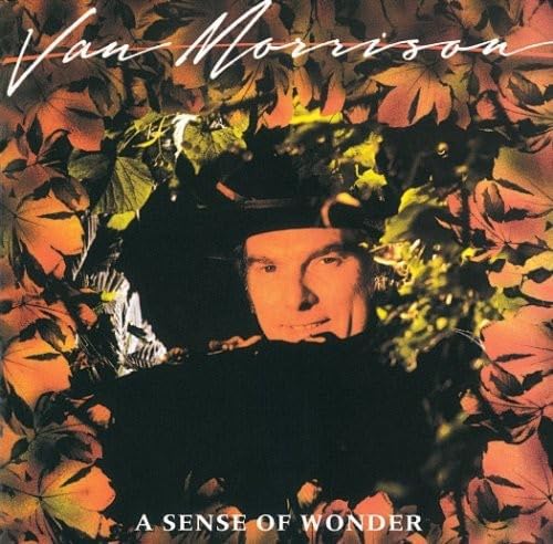VAN MORRISON - A Sense Of Wonder - CD