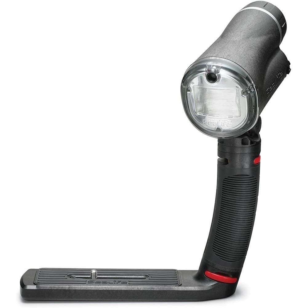 Sea Dragon Universal Flash