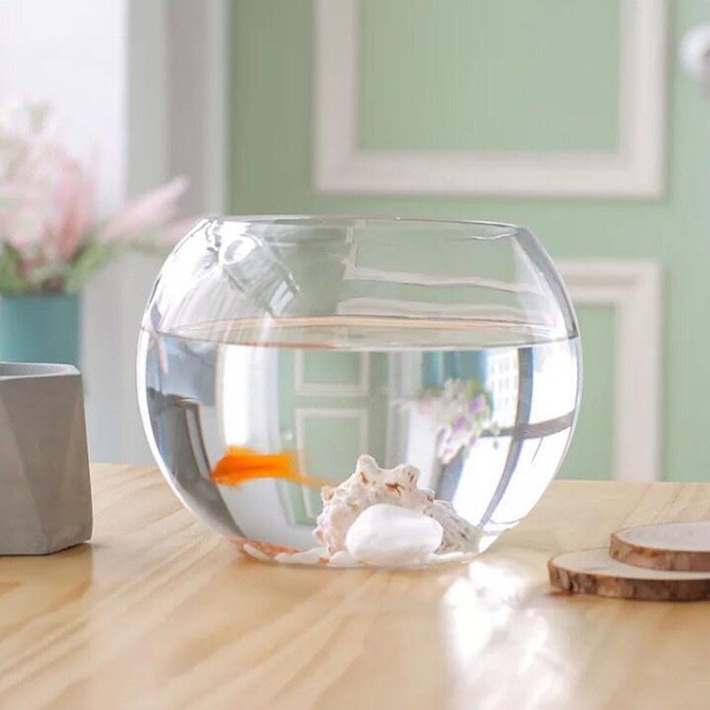 SEWACC Klares Glas-goldfischglas - Rundes, Transparentes Tisch-Aquarium mit Blumentopf - Dekoratives Aquarium für Zuhause Oder Büro