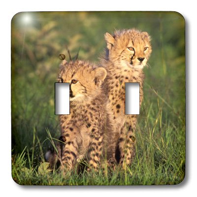 Double interrupteur à bascule Cheetah Cubs Kenya 3dRose lsp_71030_2