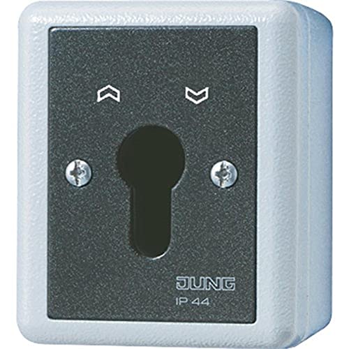 Interruptor bipolar con llave Jung wg600 de 10A y 250V para perfil cilíndrico 2