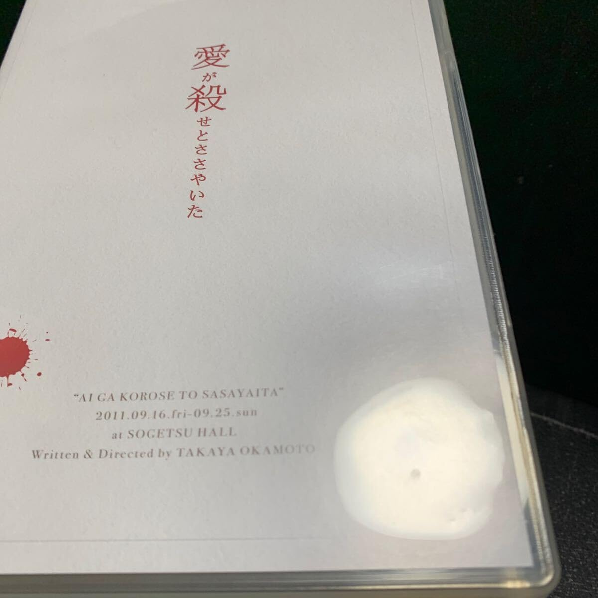 愛が殺せとささやいた DVD
