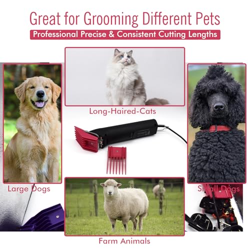 Peigne tondeuse chien adaptable Andis et Oster - Hauteur précise 12mm