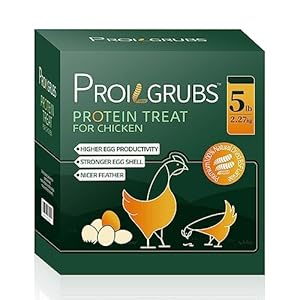 5 LBS All Natural Dried Black Soldier Fly Larvae Treats- Non-GMO-Dried Grubs for Chickens – Dried Meal Worms for Chickens, Hens, Birds