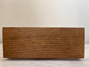 クモガイ 標本 貝殻 インテリア アート アンティーク 貝 オブジェ 雑貨 Amazon.co.jp: クモガイ 標本 貝殻 インテリア アート