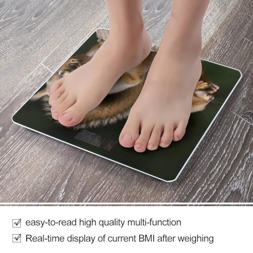 Balanza digital de baño con pantalla LCD y vidrio templado miniatura 5