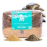 Mycelium All-in-One Mushroom Grow Bag – 6 lb Sterilized Substrate with Oak, Soy Hull & Millet | Ready-to-Inoculate Grow Kit with Injection Port | Grow Lion’s Mane, Shiitake, Oyster & Reishi Mushrooms