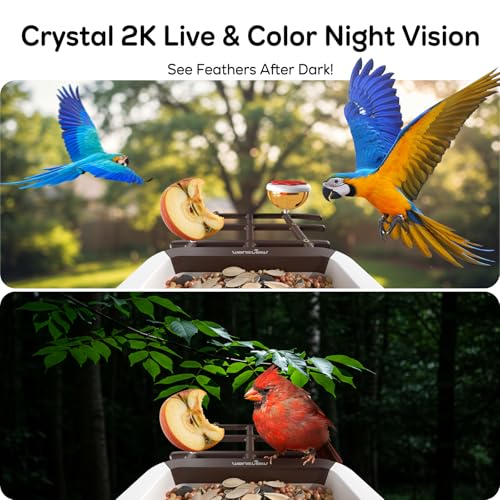 wansview 2K Bird Feeder with Camera Solar Powered 2 4G WiFi F1 Brown - image 4