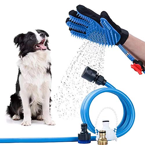 Laver son chien comment lui donner un bain
