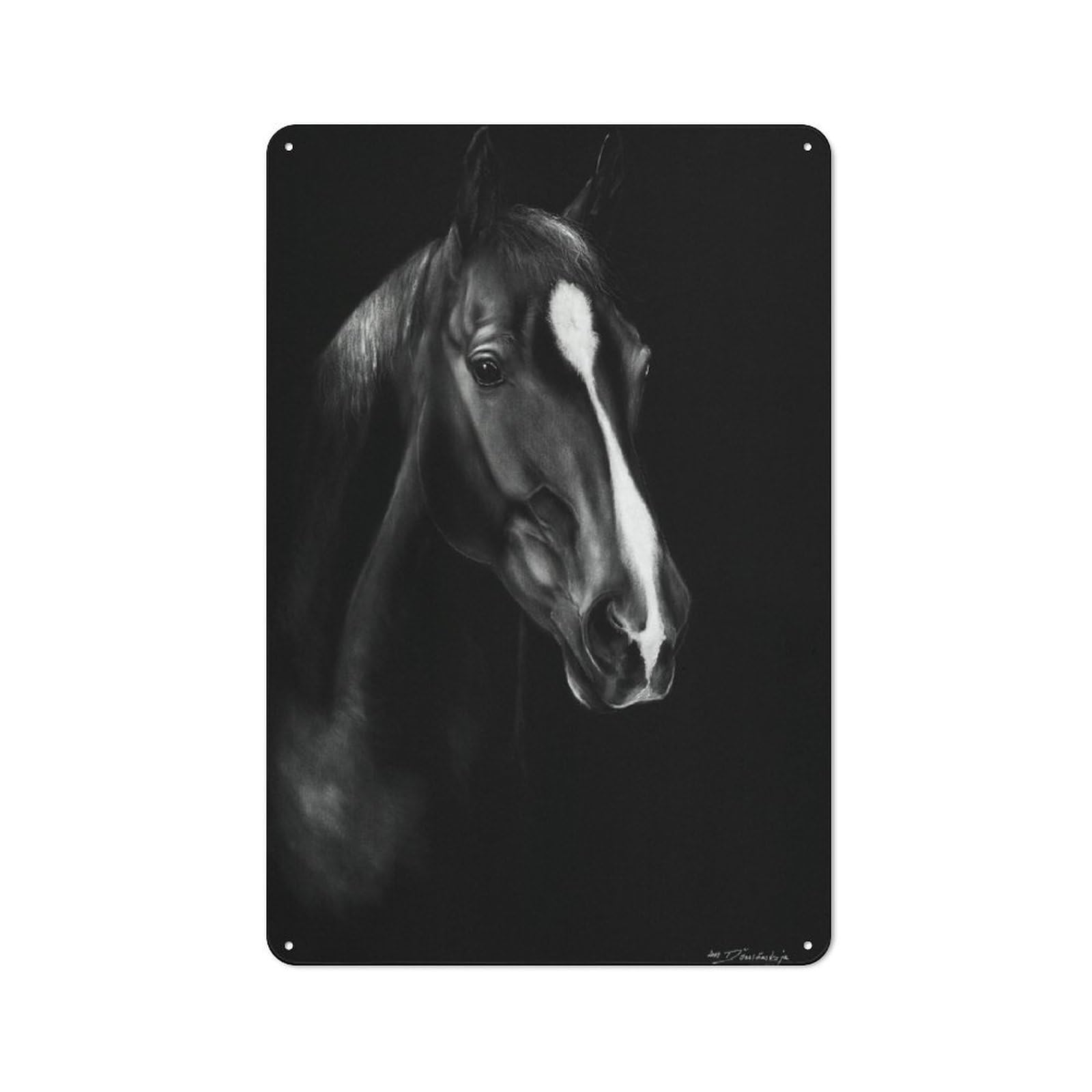 Junmoney Style-22 Vintage Metal Plaque 30X20cm Featuring Beautiful Horse Painting, Diner Style Decor For Restaurant, Kitchen, Counter Or Breakfast Nook