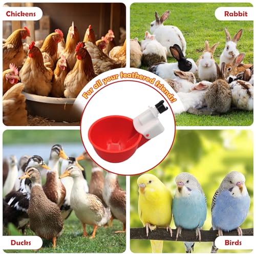 AQUA KT O conjunto DIY de água e alimentador de frango inclui copos automáticos de água de frango e