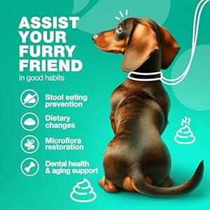 No Poo Chews for Dogs  Coprophagia Deterrent for Dogs  Dog Probiotics for Digestive Health  Forbid for Dogs Stool Eating Deterrent  Digestive Gut  Immune Health Treats  No Poop Eating for Dogs  Cucciolini Doodles No poo chews for dogs  coprophagia deterrent for dogs  dog probiotics for digestive health  forbid for dogs stool eating deterrent  digestive gut  immune health treats  no poop eating for dogs   cucciolini doodles