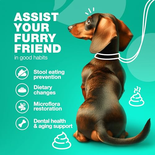 No Poo Chews for Dogs  Coprophagia Deterrent for Dogs  Dog Probiotics for Digestive Health  Forbid for Dogs Stool Eating Deterrent  Digestive Gut  Immune Health Treats  No Poop Eating for Dogs  Cucciolini Doodles No poo chews for dogs  coprophagia deterrent for dogs  dog probiotics for digestive health  forbid for dogs stool eating deterrent  digestive gut  immune health treats  no poop eating for dogs   cucciolini doodles