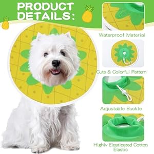MABOZOO Waterproof Dog Cone, Adjustable Dog Cat Pet Cone Collar Recovery Collar for Dogs and Cats After Surgery, Lightweight Protective Collar E-Collar to Stop Licking (Pineapple, L) MABOZOO Waterproof Dog Cone Adjustable Dog Cat Pet Cone Collar Recovery Collar for Dogs and Cats After Surgery Lightweight Protective Collar E Collar to Stop Licking Pineapple L