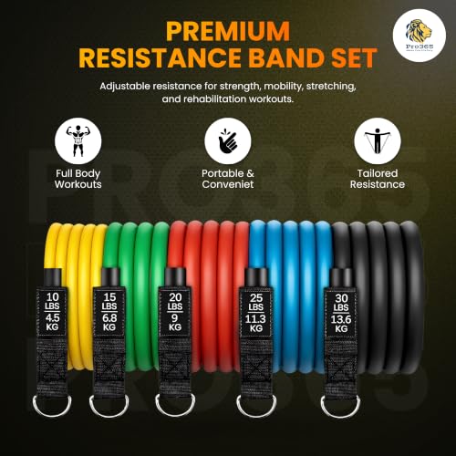 Image of PRO365 Pull Up Bar with Premium Resistance Band Set Combo for Home Workout | No Screws Doorway Chin-Up Bar + Exercise Bands Kit with Handles, Door Anchor & Ankle Straps | Home Gym Fitness Equipment