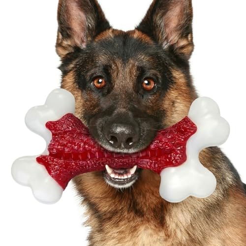 ChienBox Giochi per Cani Indistruttibile: Giochi per Cani in Nylon Resistente, Gusto Manzo, Perfetti per Masticatori Aggressivi e Grandi Razze, Pulizia Denti e Addestramento