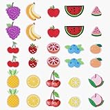 PH PandaHall 15 Styles Embroidered Fruit Patches 30PCS Strawberry Iron on Patches Cherry Pineapple Sew on Applique Orange Watermelon Embroidered Appliques for Sewing Clothes Dress Hat Pants Backpacks