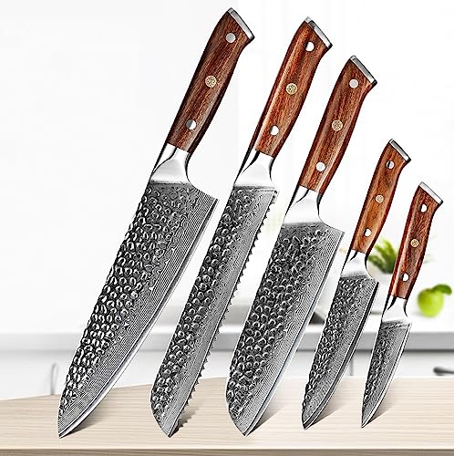 Set Cuchillos Cocina 5 Piezas Acero Damasco