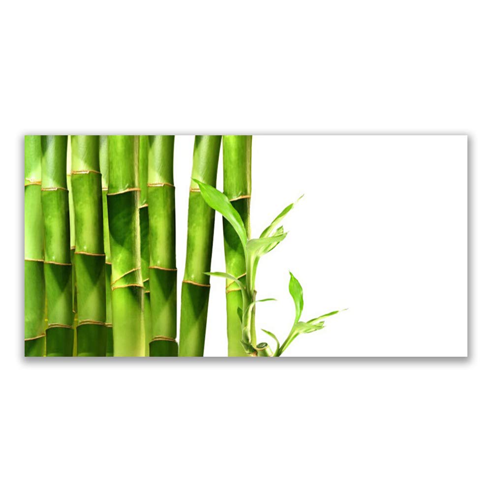 Impression sur verre acrylique 120x60cm tableau mural moderne floral