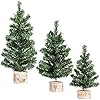 Winlyn 3 Pack Mini Canadian Pine Trees with Wood Bases Artificial Miniature Christmas Trees for Holiday Season Tabletop Decoration Centerpiece Displays Xmas Green Assorted Sizes 75 89 108