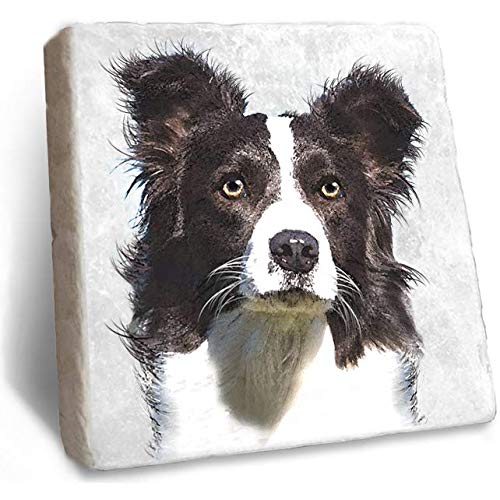 Border Collie Coaster - Rustic Natural Marble Coaster by Stone Rebellion (Border Collie)