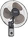 HOLMES Oscillating Wall-Mountable Fan, 16 Inch (HMF1611A-UM),Black