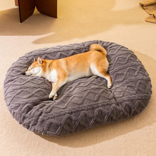 Ladfrol _炩  xbh 􂦂 O\ Lp ybgxbh ӂӂ ~ NbV}bg ^ɓKp  (3,L)