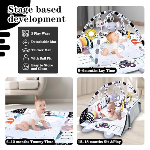 Tfder 23-JSJ0050 Baby Gym Play Mat, 8-In-1 Tummy Time Mat & Activity Gym thumb #3