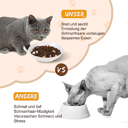 Katzennäpfe aus Keramik Katzennapf Set - 6 Stück Futternapf für Katzen im minimalistischen Stil - Breit, Flach, schnurrhaarfreundlich - mikrowellen- und spülmaschinenfest - 250 ml