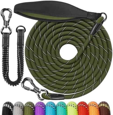 Schleppleine Für Hunde - Freiheit Mit Sicherheit Für Deinen Vierbeiner