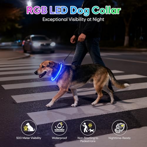 iTayga Leuchthalsband Hund, USB Typ-C und Wasserdicht RGB Hundehalsband, Verstellbare Länge, Sichtweite 500M, 7 Modi, Grün Blau Rot Mehrfarbig Leuchtendes Halsband für Hunde und Katzen