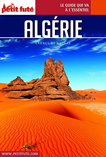 Télécharger ALGÉRIE 2019 Carnet Petit Futé (Carnet de voyage) Francais PDF