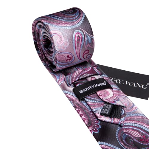 Image of Barry.Wang Paisley Tie for Men Silk Woven Necktie and Tie Clip Set Wedding Party Business Formal