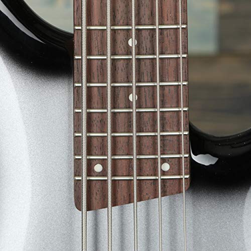 Ibanez Sr305E 5-String Bass Guitar (Metallic Silver Sunburst) #TOP6