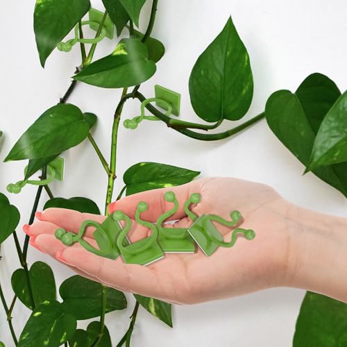 Plant Wall Clips for Climbing Plants 110 Pcs - Large, Medium, and Small Sizes Wall Clips, Resistant to Breaking and Deformation, Easy Installation, Strong Adhesion - For Gardening or Cable Management