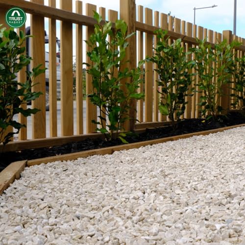 Image of TrustBasket White Pebble Decorative Stones Marble Chips [2 Kg] for Aquarium Garden Indoor & Outdoor Decoration Pebble Stone White